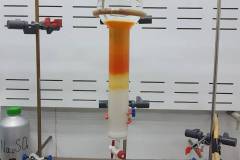 Column chromatography the rainbow