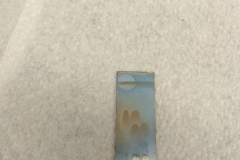 Electrochemical fluorination