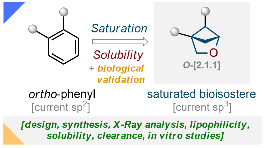 Water-soluble Bioisosteres of the ortho-substituted Phenyl Ring