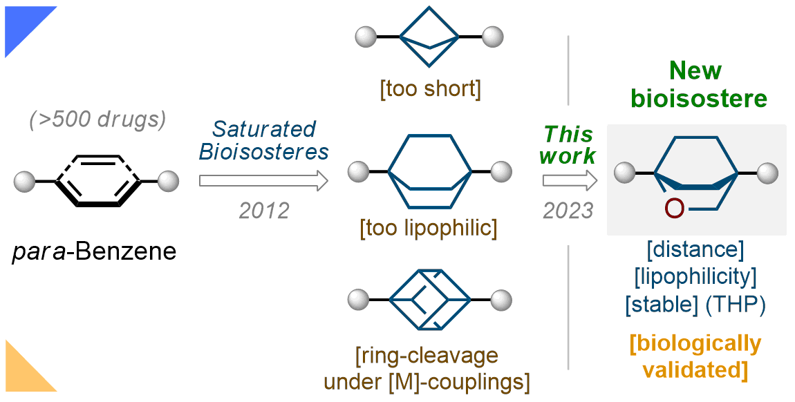 2-Oxabicyclo[2.2.2]octane as a new bioisostere of the phenyl ring