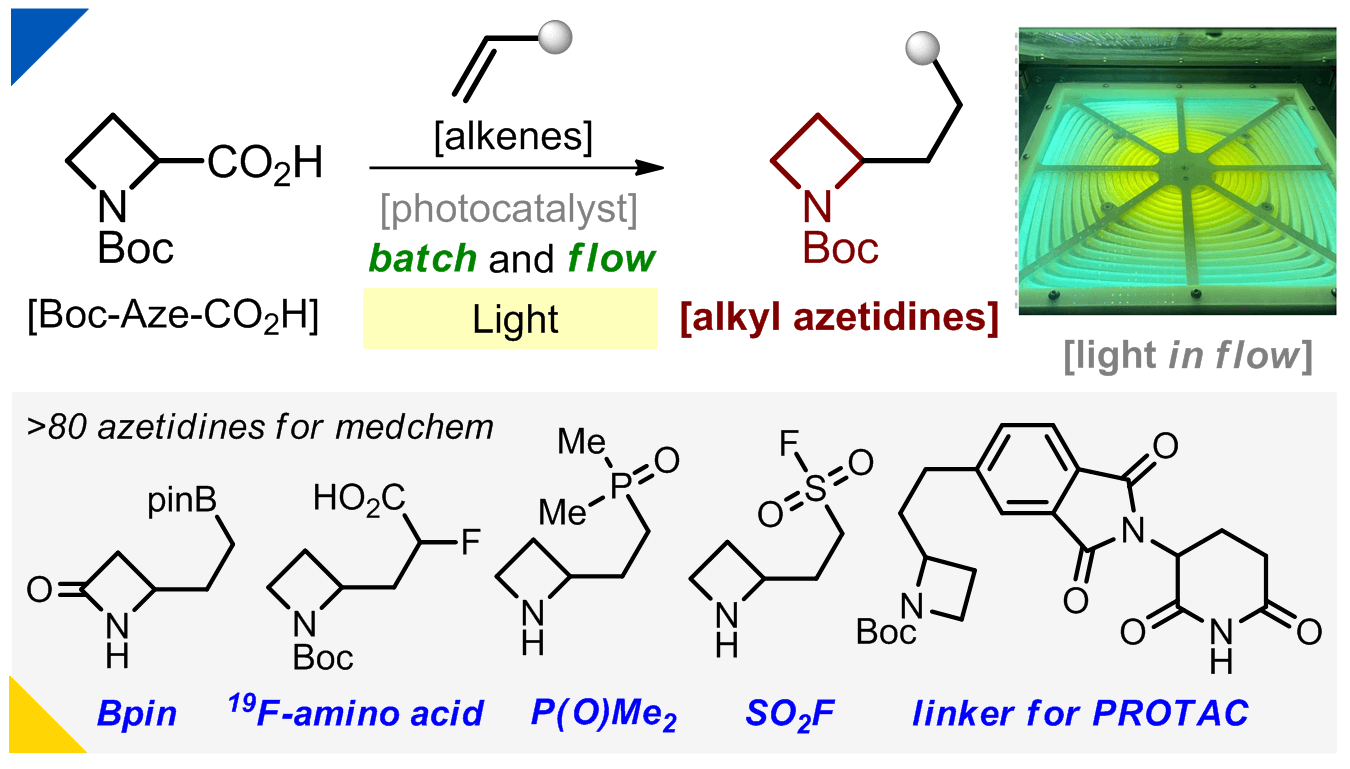 Alkyl Azetidines Via Batch and Flow Photochemistry