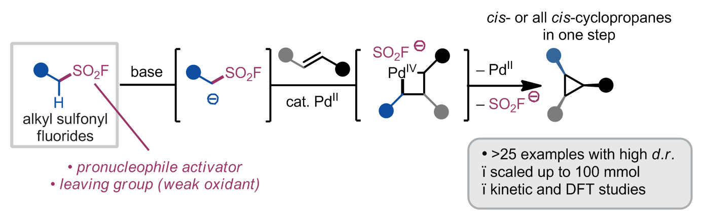 Alkyl sulfonyl fluorides as ambiphiles in the stereoselective palladium(II)-catalysed cyclopropanation of unactivated alkenes