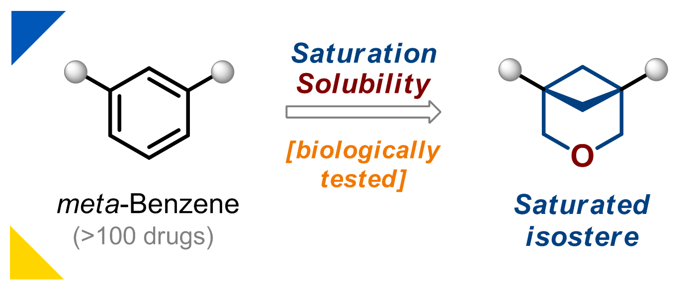 3-Oxabicyclo[3.1.1]heptane as an Isostere of meta-Benzene