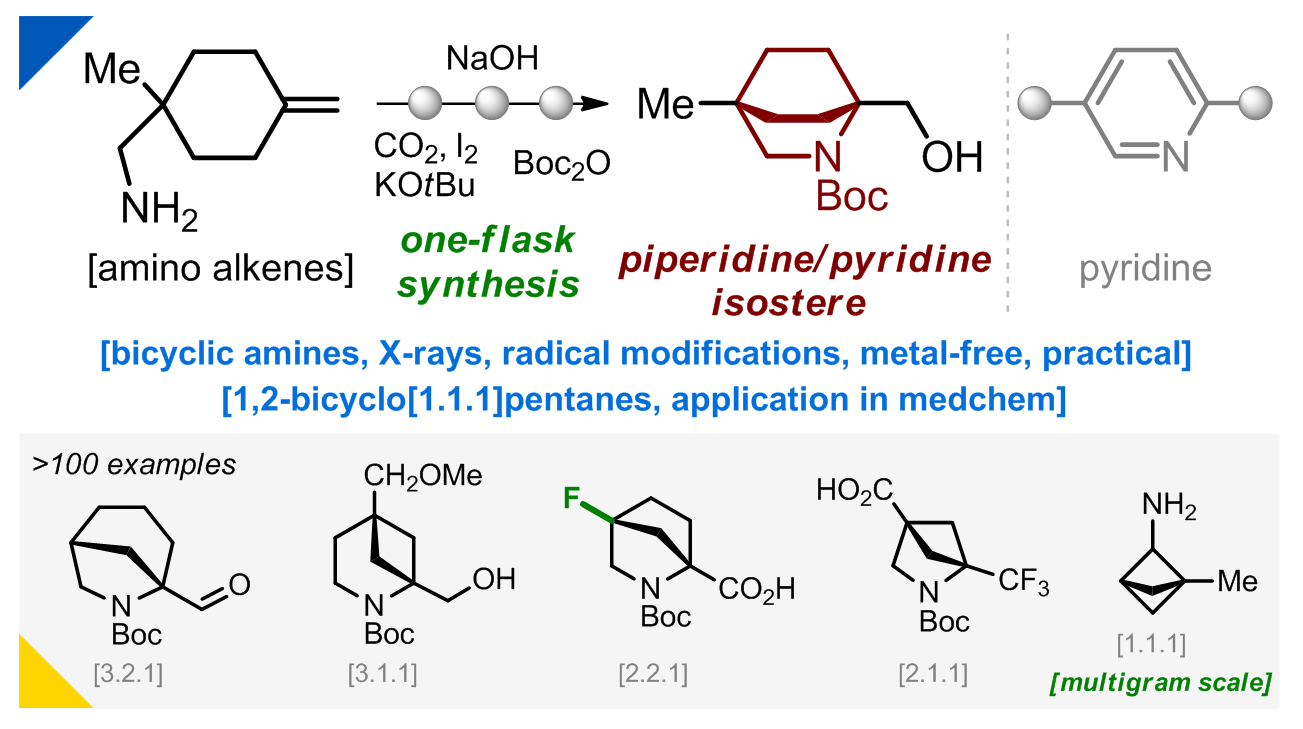 Bicyclic Isosteres of Pyridine/Piperidine: From Synthesis to Applications