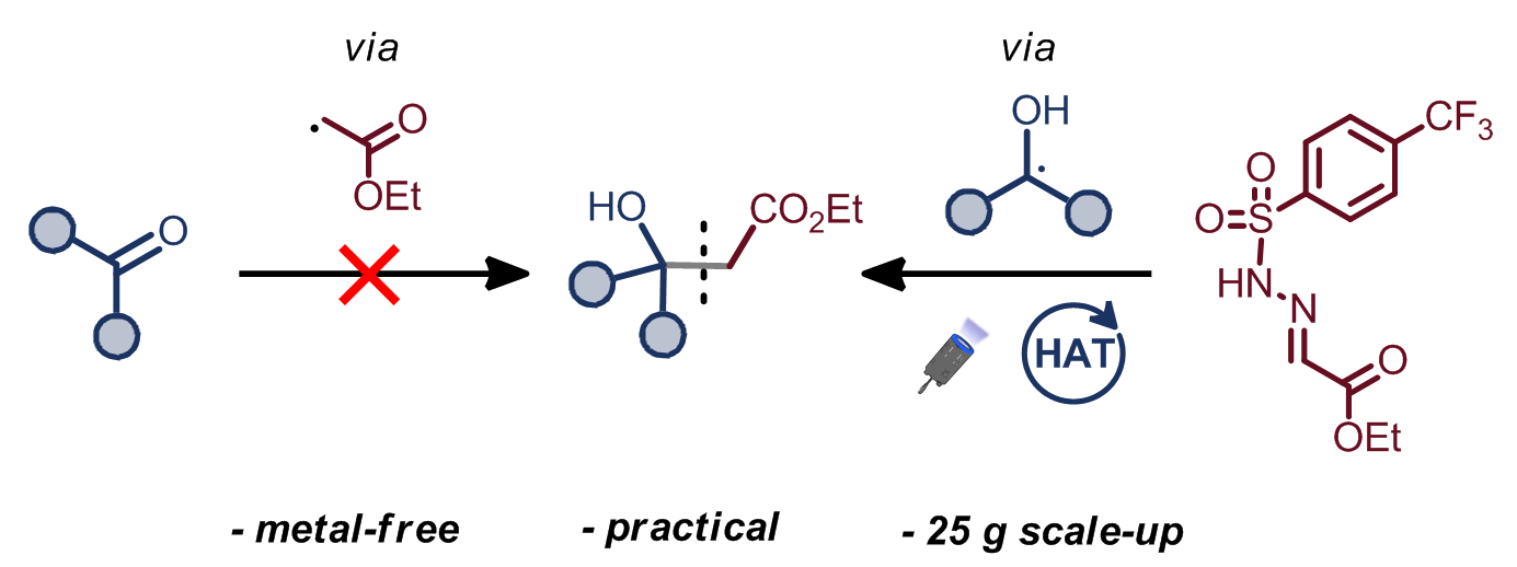 Glyoxylate Sulfonyl Hydrazone Enables a Scalable Approach to Reformatsky-Type Products from Aliphatic Alcohols via Photocatalytic HAT