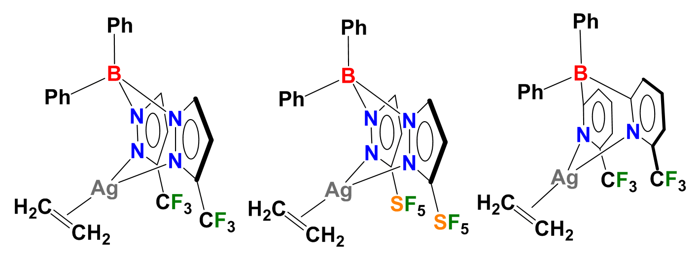 Fluorinated B-phenylated scorpionates as tunable platforms for stabilizing thallium(I) and silver(I)–ethylene complexes