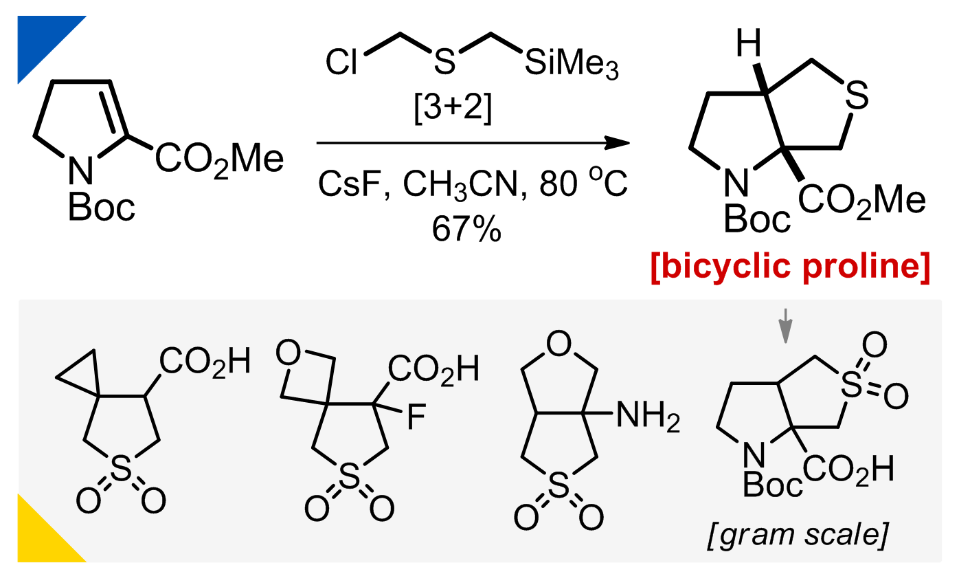 Fused and Spirocyclic Sulfones for Medicinal Chemistry via [3 + 2] Cycloaddition of Thiocarbonyl Ylide