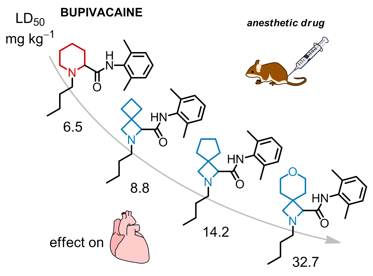 Replacement of the Piperidine Ring with Aza-Spirocycles Reduces Cardiotoxicity of the Local Anesthetic Drug Bupivacaine