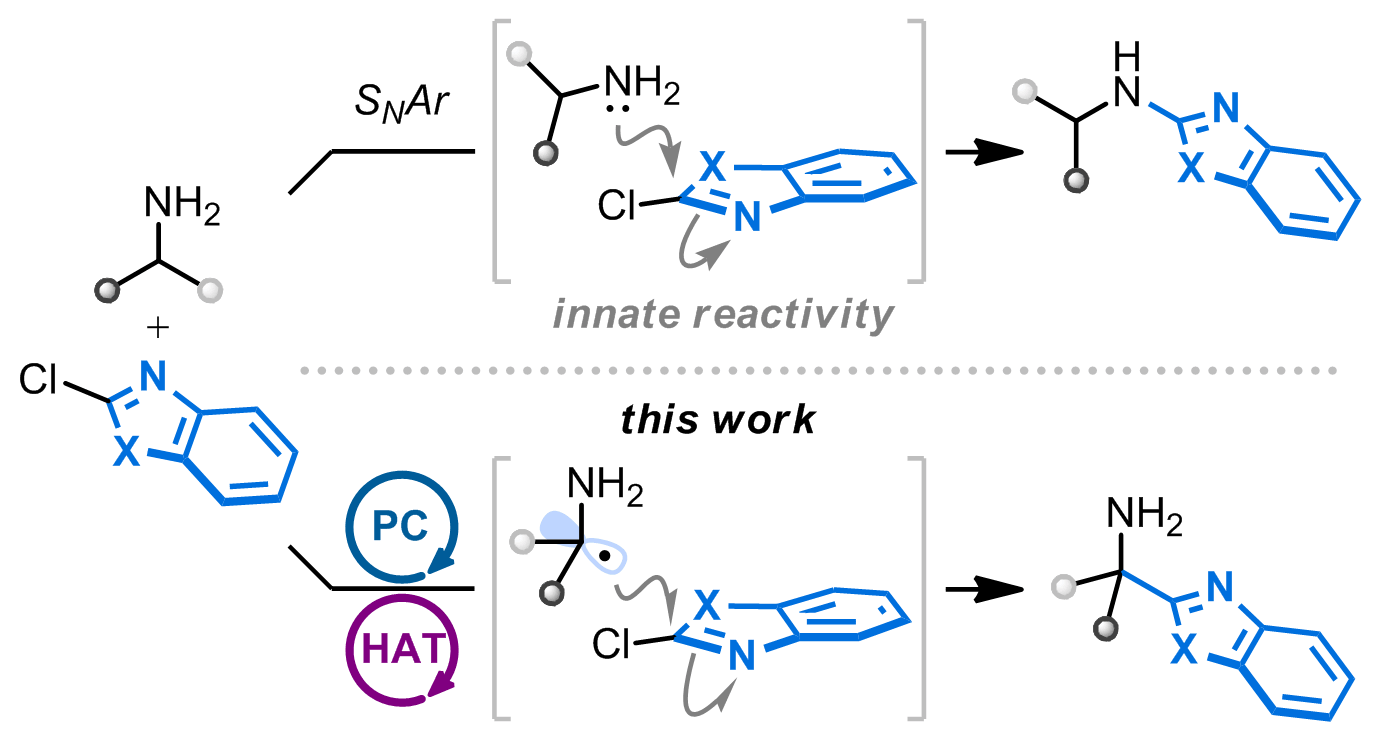 Direct α-C−H Heteroarylation of Unprotected Primary Amines