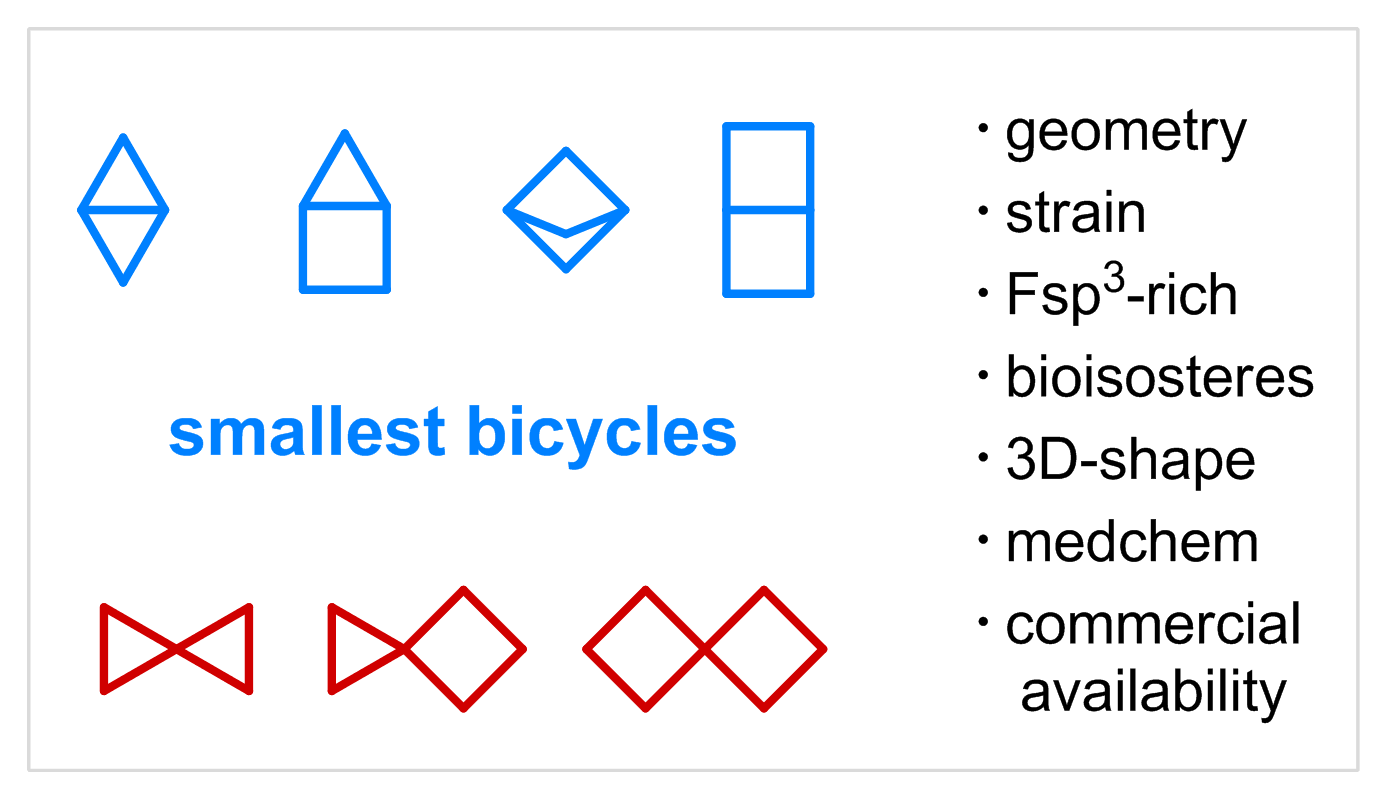 Smallest Bicycles in Medicinal Chemistry: Where Are We Now?